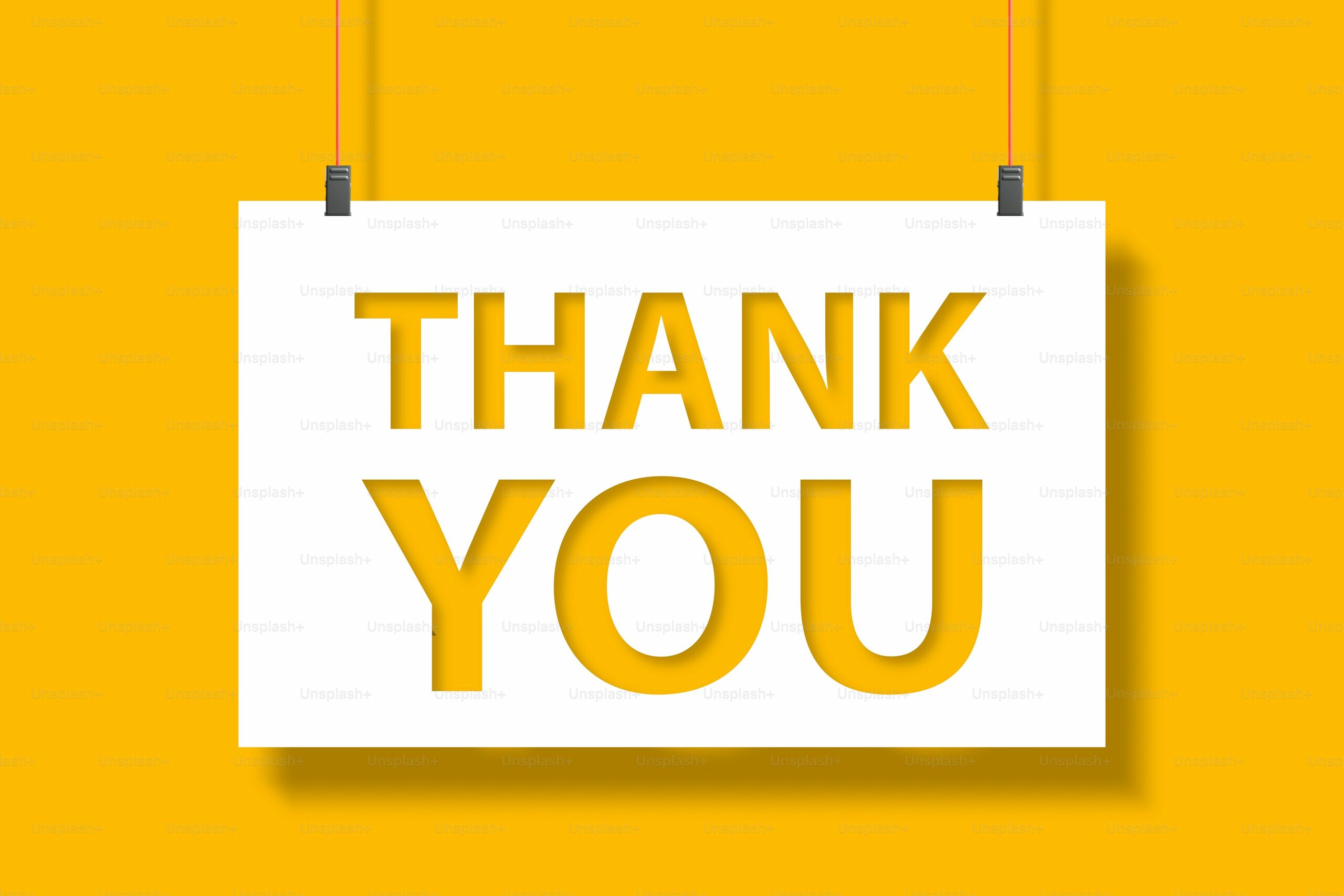 Thank you st thomas aquinas roman catholic separate school division